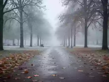 Ein leerer Parkweg an einem kühlen, bewölkten Herbstmorgen mit herbstlichem Laub auf dem Boden. - Foto: über boerse-global.de