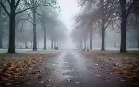 Ein leerer Parkweg an einem kühlen, bewölkten Herbstmorgen mit herbstlichem Laub auf dem Boden. - Foto: über boerse-global.de