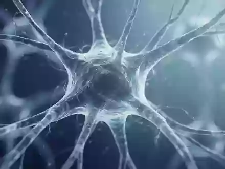 Mikroskopische Aufnahme einer zellulären neuronalen Struktur zur Symbolisierung neurologischer Forschungsprozesse. - Foto: über boerse-global.de