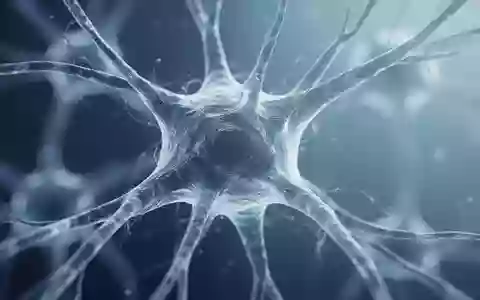 Mikroskopische Aufnahme einer zellulären neuronalen Struktur zur Symbolisierung neurologischer Forschungsprozesse. - Foto: über boerse-global.de