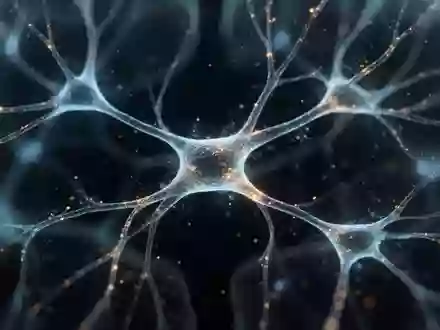 Hochauflösende mikroskopische Aufnahme von neuronalen Netzwerken und synaptischen Verbindungen im menschlichen Gehirngewebe. - Foto: über boerse-global.de