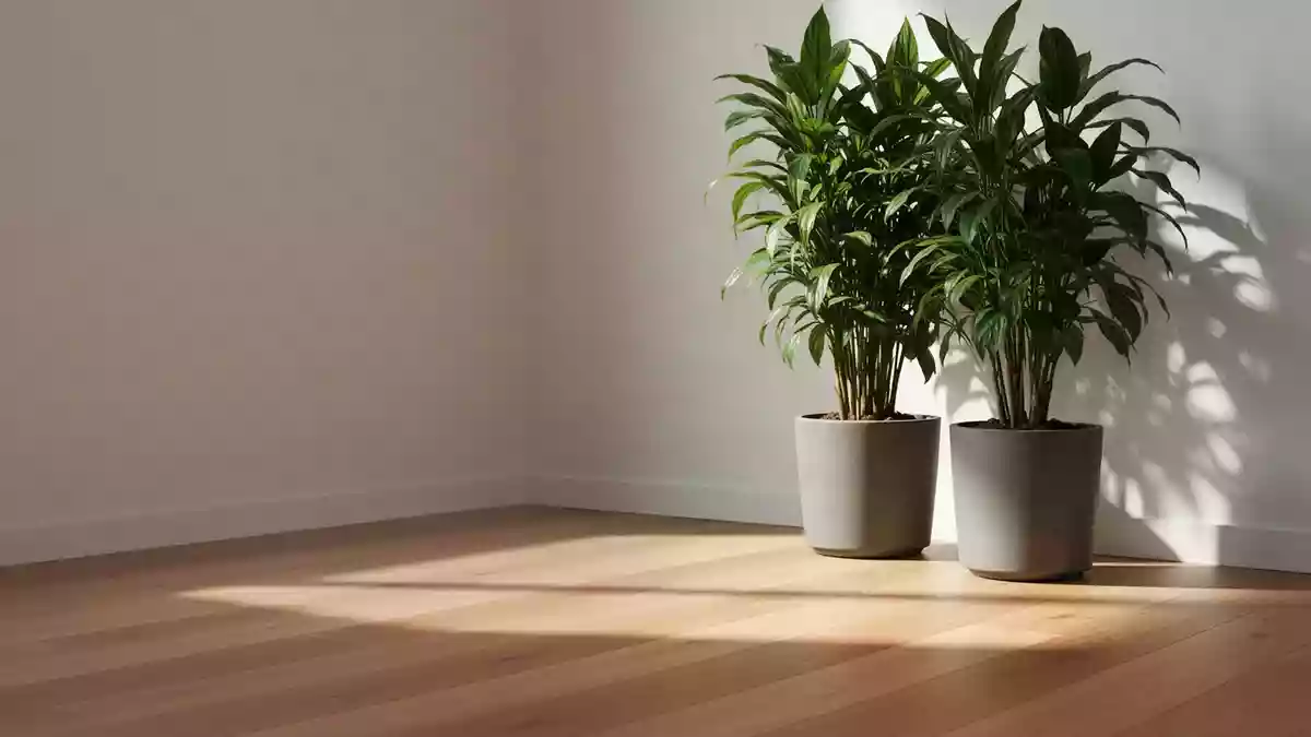 Langes Sitzen im Büro: Bewegungspausen und Mobilitätsübungen helfen