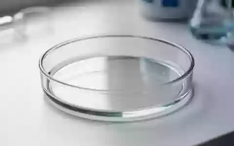 Ein leeres Glas-Petrischälchen auf einer sterilen weißen Laboroberfläche als Symbol für medizinische Forschung. - Foto: über boerse-global.de