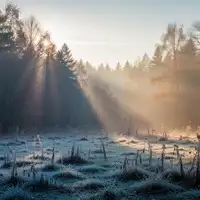 Eine neblige, frostige Waldlandschaft bei Sonnenaufgang, die die Auswirkungen von Kälte auf die Umgebung verdeutlicht. - Foto: über boerse-global.de