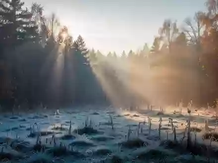 Eine neblige, frostige Waldlandschaft bei Sonnenaufgang, die die Auswirkungen von Kälte auf die Umgebung verdeutlicht. - Foto: über boerse-global.de