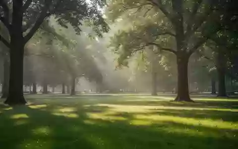 Ein sonnendurchfluteter, ruhiger Park mit grünen Wiesen und Bäumen, der eine gesunde und präventive Lebensweise symbolisiert. - Foto: über boerse-global.de