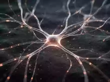 Abstrakte Darstellung neuronaler Netzwerke als leuchtende Verbindungen vor dunklem Hintergrund zur Veranschaulichung der Neuroplastizität. - Foto: über boerse-global.de
