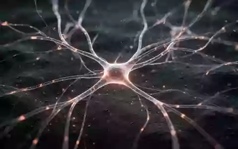 Abstrakte Darstellung neuronaler Netzwerke als leuchtende Verbindungen vor dunklem Hintergrund zur Veranschaulichung der Neuroplastizität. - Foto: über boerse-global.de
