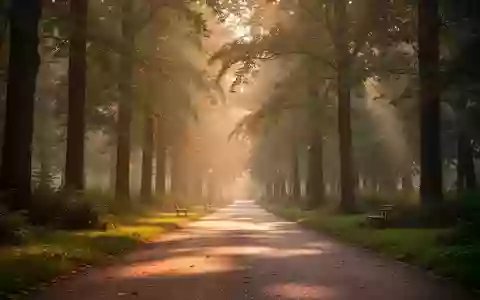 Ein leerer Parkweg in der Morgendämmerung, umgeben von Bäumen und Natur, der eine ruhige und gesunde Atmosphäre vermittelt. - Foto: über boerse-global.de