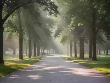 Ein ruhiger, sonnendurchfluteter Weg in einem Park, der zu täglicher Bewegung und einem gesunden Lebensstil einlädt. - Foto: über boerse-global.de