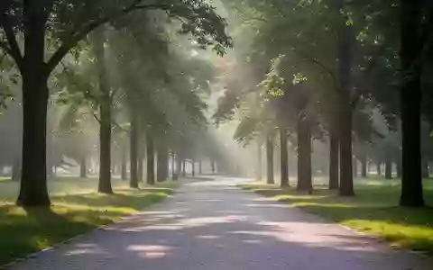 Ein ruhiger, sonnendurchfluteter Weg in einem Park, der zu täglicher Bewegung und einem gesunden Lebensstil einlädt. - Foto: über boerse-global.de