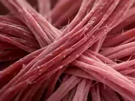 Mikroskopische Nahaufnahme von menschlichen Muskelfasern und biologischen Gewebestrukturen. - Foto: über boerse-global.de