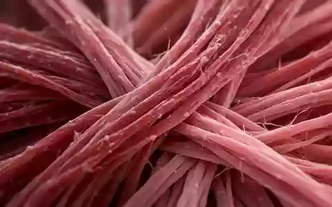 Mikroskopische Nahaufnahme von menschlichen Muskelfasern und biologischen Gewebestrukturen. - Foto: über boerse-global.de