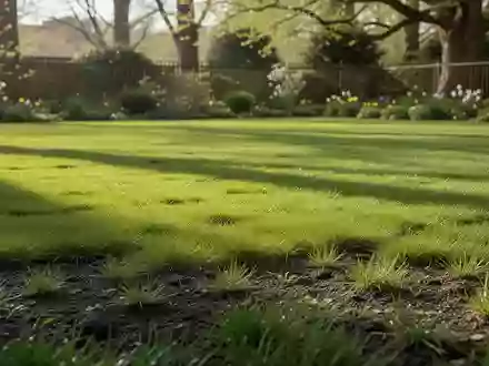 Ein gepflegter, grüner Rasen in einem Garten bei Tageslicht. - Foto: über boerse-global.de