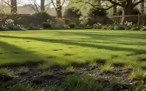 Ein gepflegter, grüner Rasen in einem Garten bei Tageslicht. - Foto: über boerse-global.de
