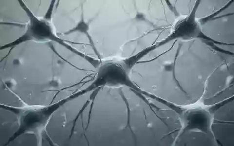 Mikroskopische Aufnahme von neuronalem Gewebe und synaptischen Verbindungen im Gehirn. - Foto: über boerse-global.de