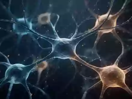 Hochauflösende Aufnahme von neuronalen Gewebestrukturen unter einem Mikroskop zur Darstellung biologischer Alterungsprozesse. - Foto: über boerse-global.de