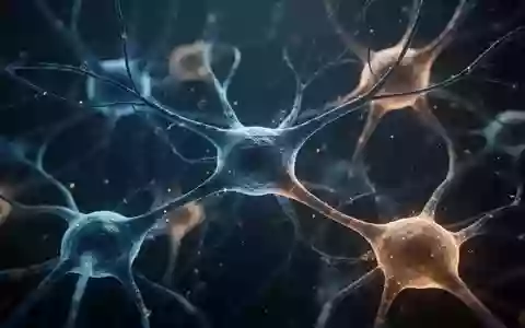 Hochauflösende Aufnahme von neuronalen Gewebestrukturen unter einem Mikroskop zur Darstellung biologischer Alterungsprozesse. - Foto: über boerse-global.de