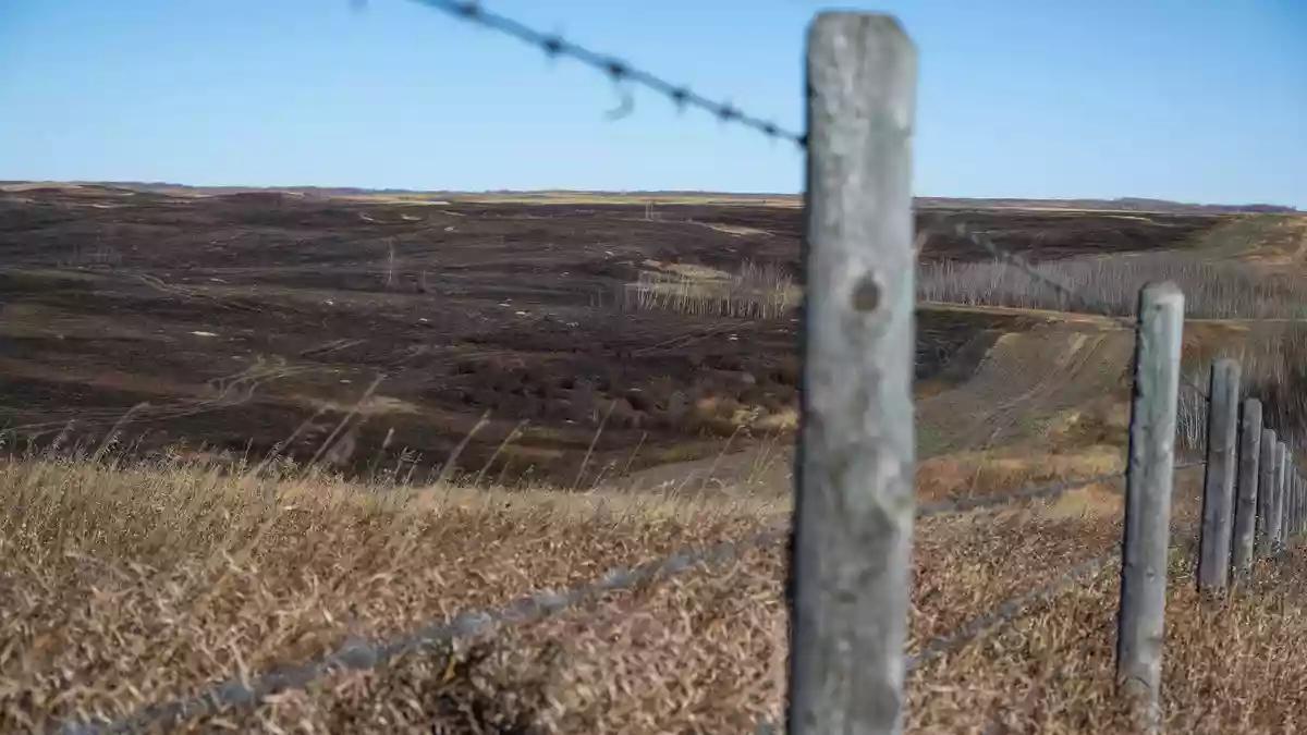 Starke Winde sollen ein Feuer auf dem Militärstützpunkt schnell vorangetrieben haben.  - Bild: John Ulan/The Canadian Press/AP/dpa