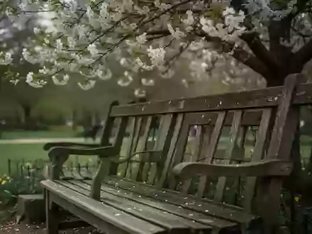 Symbolbild: Parkbank unter einem blühenden Baum - Foto: über boerse-global.de