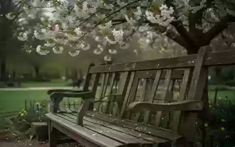 Symbolbild: Parkbank unter einem blühenden Baum - Foto: über boerse-global.de