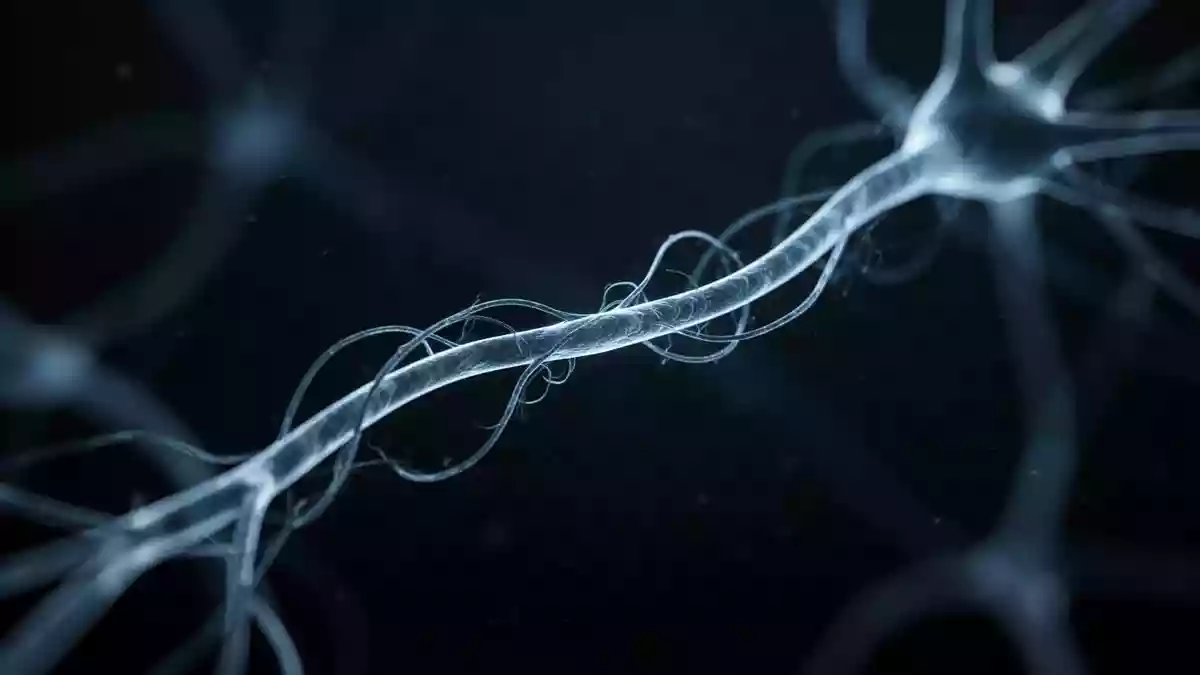 Neuropathische Schmerzen: Diagnose und Behandlung bleiben oft schwierig