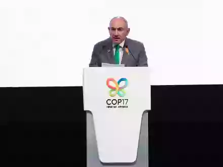 Im Fokus der UN-Konferenz zur biologischen Vielfalt steht eine Zwischenbilanz zum Stand der selbstgesteckten Ziele für den Schutz der Artenvielfalt. Der armenische Ministerpräsident Nikol Paschinjan hält bereits einige Tage vor Beginn der Konferenz eine Rede.  - Foto: Vahram Baghdasaryan/PHOTOLURE via AP/dpa