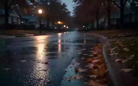 Eine regennasse Straße im Herbst bei Dämmerung mit herabgefallenen Blättern am Straßenrand. - Foto: über boerse-global.de