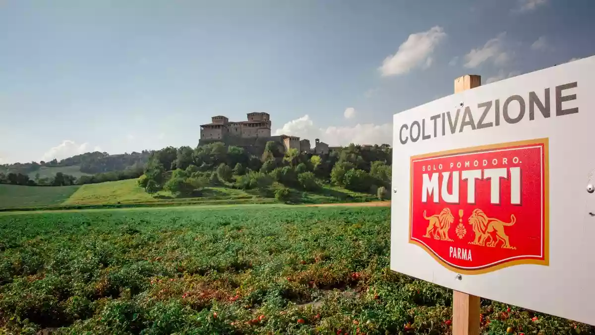 Mutti zieht solide Bilanz in einer von extremen Wetterbedingungen geprägten Saison - Bild: presseportal.de