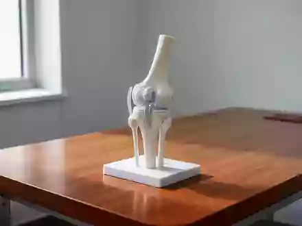 Anatomisches Modell eines menschlichen Kniegelenks auf einem Untersuchungstisch in einem hellen, klinischen Raum. - Foto: über boerse-global.de