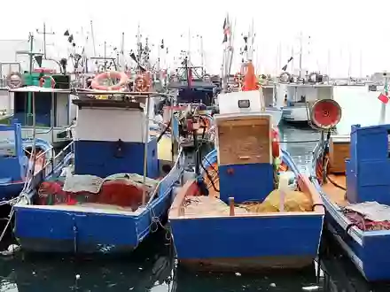 Schiffe in einem Hafen (Archiv) - Foto: via dts Nachrichtenagentur