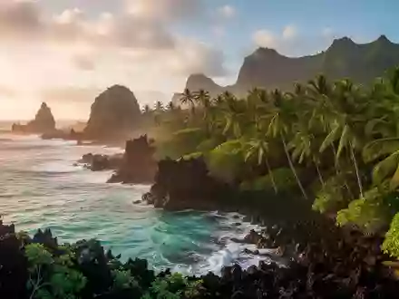 Die tropische Küstenlandschaft von Mauritius mit Palmen und azurblauem Meer bei Sonnenuntergang. - Foto: über boerse-global.de