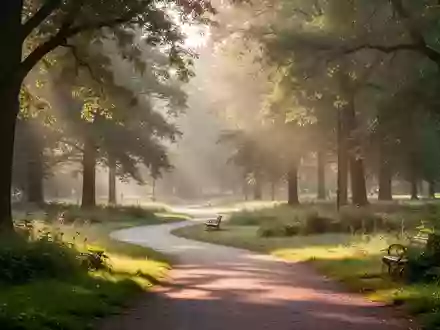 Ein ruhiger, sonnendurchfluteter Parkweg im Grünen, der eine Atmosphäre von Gesundheit und Wohlbefinden vermittelt. - Foto: über boerse-global.de
