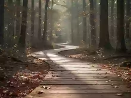 Ein von Sonnenlicht durchfluteter Waldweg im Herbst, der zu täglicher Bewegung und körperlicher Aktivität einlädt. - Foto: über boerse-global.de