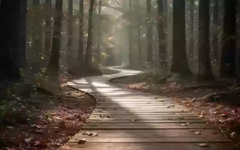Ein von Sonnenlicht durchfluteter Waldweg im Herbst, der zu täglicher Bewegung und körperlicher Aktivität einlädt. - Foto: über boerse-global.de