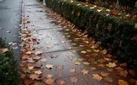 Ein mit herbstlichem Laub bedeckter Gehweg an einem bewölkten Tag. - Foto: über boerse-global.de