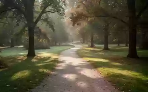 Ein von Sonnenlicht durchfluteter, gewundener Spazierweg in einem ruhigen Park mit herbstlichen Bäumen. - Foto: über boerse-global.de