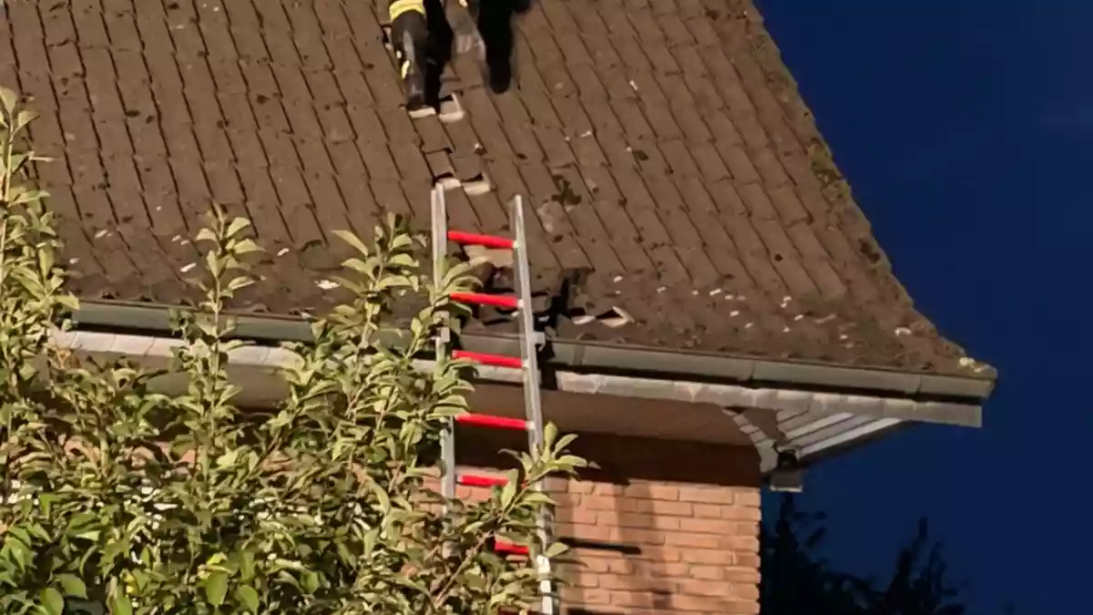 FW Xanten: Katze von Dachfirst gerettet - Bild: presseportal.de