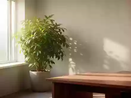 Ein heller, minimalistischer Büroraum mit einer großen Grünpflanze und natürlichem Tageslicht, das durch ein Fenster fällt. - Foto: über boerse-global.de