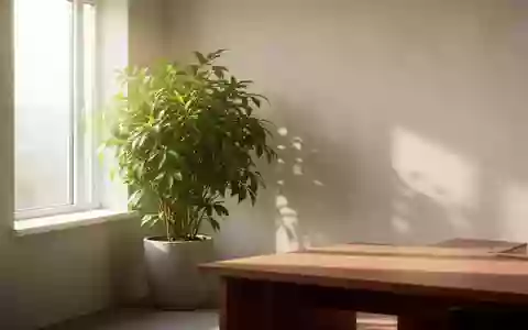 Ein heller, minimalistischer Büroraum mit einer großen Grünpflanze und natürlichem Tageslicht, das durch ein Fenster fällt. - Foto: über boerse-global.de