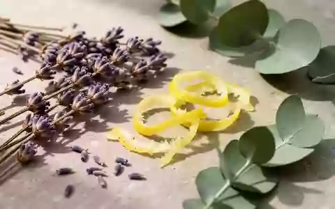 Nahaufnahme von natürlichen botanischen Zutaten wie Lavendel, Zitronenschalen und Eukalyptusblättern auf einem Steinhintergrund. - Foto: über boerse-global.de