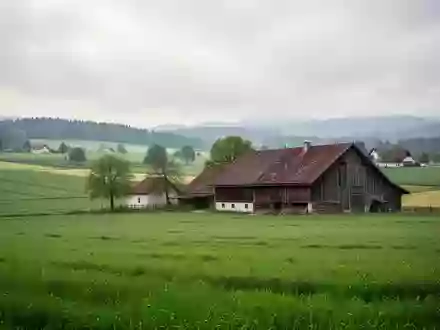 Ein landwirtschaftlicher Betrieb mit Feldern und einer Scheune in der bayerischen Landschaft bei Nabburg. - Foto: über boerse-global.de