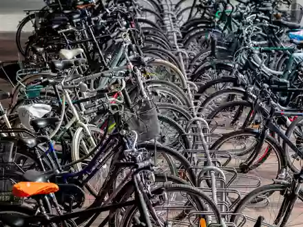 Statistisch besitzt jeder Mensch in Deutschland mehr als ein Fahrrad. Mietangebote haben es da schwer. (Archivbild) - Foto: Hauke-Christian Dittrich/dpa