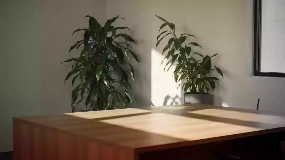 Kurze Pausen im Job: Was gegen Erschöpfung hilft