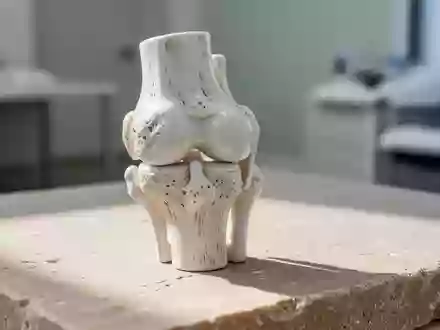 Ein anatomisches Modell eines menschlichen Kniegelenks auf einer neutralen Steinoberfläche bei weichem Tageslicht. - Foto: über boerse-global.de