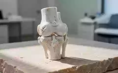 Ein anatomisches Modell eines menschlichen Kniegelenks auf einer neutralen Steinoberfläche bei weichem Tageslicht. - Foto: über boerse-global.de