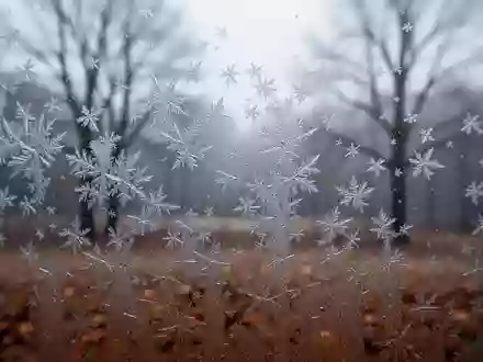 Mit Raureif bedeckte Fensterscheibe bei kaltem Herbstwetter mit Blick auf eine neblige, winterliche Gartenlandschaft. - Foto: über boerse-global.de