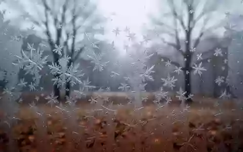 Mit Raureif bedeckte Fensterscheibe bei kaltem Herbstwetter mit Blick auf eine neblige, winterliche Gartenlandschaft. - Foto: über boerse-global.de