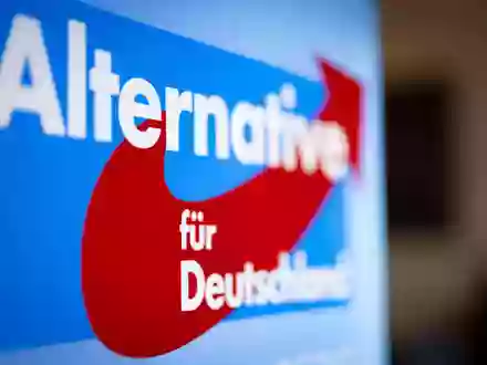 Hacker haben sich Zugang zu E-Mail-Postfächern der AfD verschafft. (Symbolbild) - Foto: Christoph Reichwein/dpa