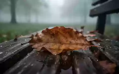 Ein einzelnes, herbstliches Blatt auf einer feuchten Holzbank in einem nebligen Park. - Foto: über boerse-global.de
